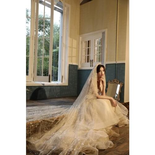 New Design Bridal Champange Or White Cut Edge Wedding Veil 1 Layer Exquisite Sequin Bridal Veil Long Comb Wedding Accessorie