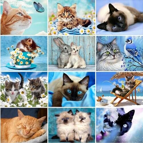 MomoArt 5D DIY Diamond Embroidery Cat Full Square Diamond Painting Animal Diamond Mosaic Full Layout Wall Art Decorations