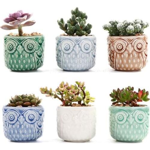 Kiln Flow Glaze Breathable Pot Small Vase for Desktop Ornaments Ceramic Thumb Flowerpot Owl Succulent Plant Pot Home Decor