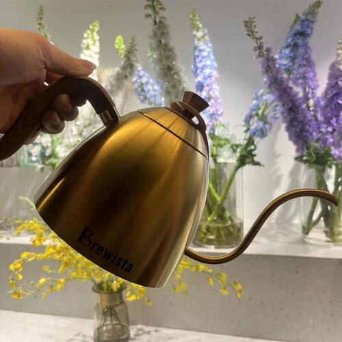Brewista Artisan 700ml Gooseneck 304 stainless steel Stovetop Kettle pour-over coffee pot helpful to control drip water speed