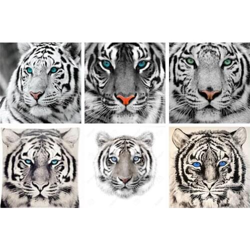 Diy 5D Full Diamond Painting Cross Stitch Painting White Tiger Diamond Embroidery Needlework Patterns Rhinestone Kits Gift Jq181