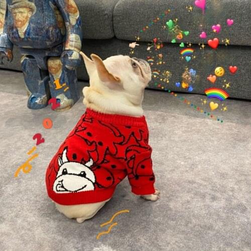 Одежда и обувь для собак JUNANGLE China At AliExpress