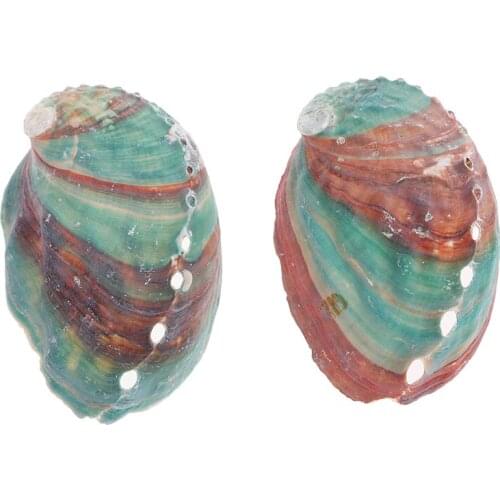 2Pcs 6-7cm Abalone Shell Natural Conch DIY Handmade Material Photography Props Home Decor