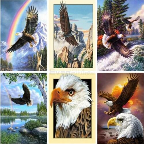 EverShine New Arrivals Diamond Embroidery Eagle Cross Stitch Diamond Painting Full Square Animals Handicraft Art Home Decor