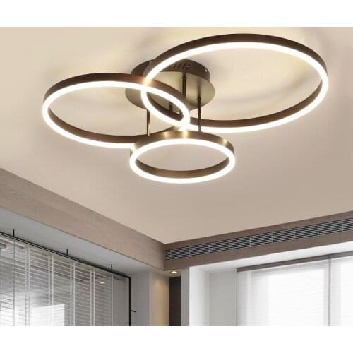 Modern simple living room bedroom aisle ring ceiling lamp Nordic minimalist design Linear LED decorative lamp