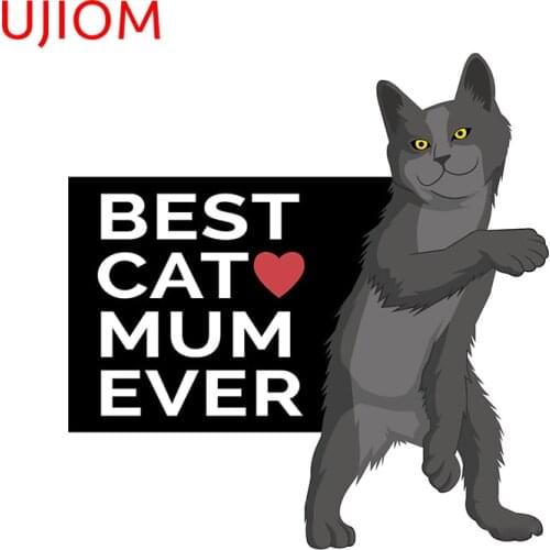 UJIOM Wallsticker Best Cat Mom Gift Idea Sticker Kids Room Sticker Wall Art Wallposter Home Decor PVC Decal House Decoration