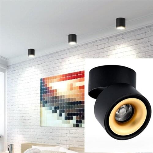 Modern Ceiling Lamp LED Ceiling Lights For Bedroom Surface Mounted Living Room Bedroom Porch Modern Wardrobe Lighting Fixture