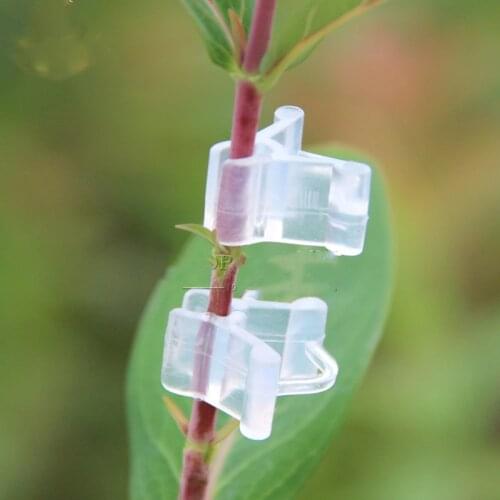 100Pcs/lot Plastic Garden Grafting Clips Mini Transparent Vegetable Flower Support Clamps Connecting Vine Plant Grafting Clamps