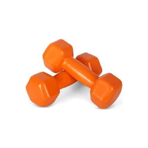 Vinyl Dumbbell 2,5Kg