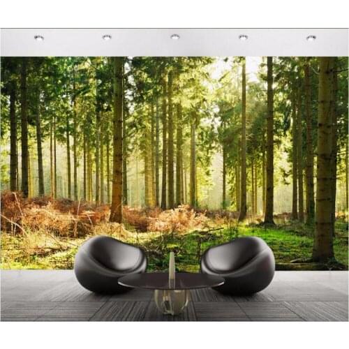 Custom photo 3d wallpaper Forest tree background wall decor painting 3d wall mural wallpaper for living room walls 3 d