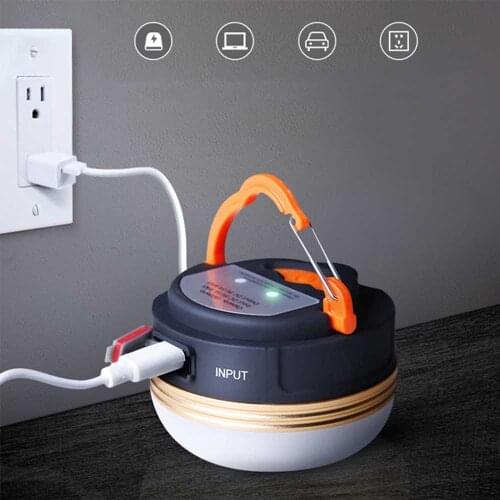 TinyRaspberry Portable Lamps