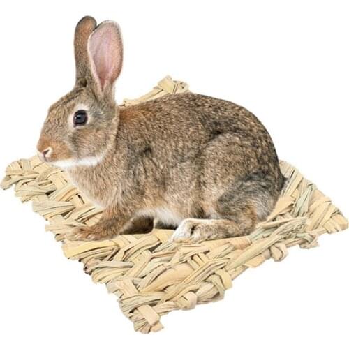 Cute Straw Mat Pet Hamster Rabbit Chewing Toy Grass Preparation Pad Small Animal Rat Guinea Pig Pet Fun Toy