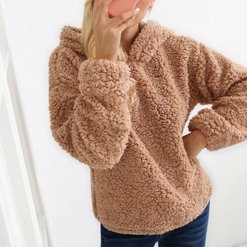 Casual Faux Fur Coat Women 2020 Autumn Winter Warm Soft Pullover Fur Jacket Female Plush Overcoat Hooded Teddy Outwear Women