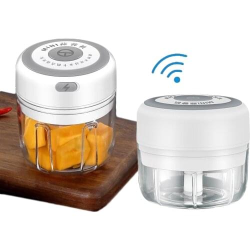 Mini Electric Garlic Chopper Usb 250/100Ml Meat Onion Garlic Vegetable Chili Mincer Rechargeable Portable Masher Press