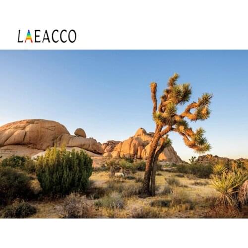 Laeacco Natural View Desert Cactus Stone Rock Shrub Scenic Home Decor Photography Background Photo Backdrop For Photo Studio