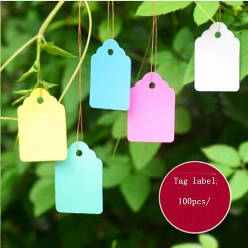 Hang Plant Markers Labels Strip Line Hanging Tags Flexible PVC Plastic Seedling Garden Flowers Plate Garden Tools