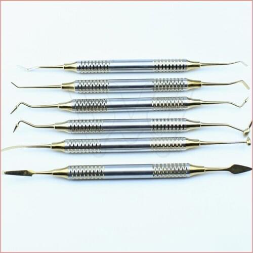 6pcsset) Free shipping dental Resin packer set Resin Aesthetic Restoration Kit Resin phototool