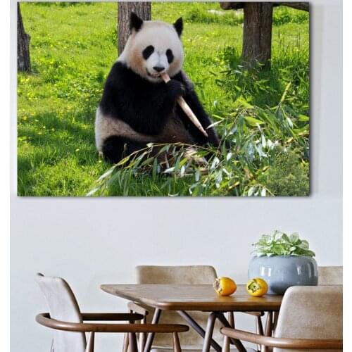 Decorative Painting Bears Pandas Grass Sitting Animal Wall Art Picture Canvas Posters and Prints Modern Living Room Decor