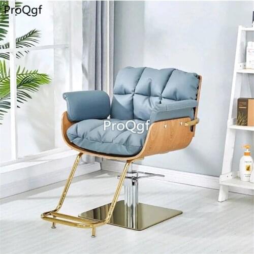 Prodgf 1 Set Leisure Salon ins Chair