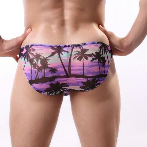 Printed Mens Briefs Breathable Mesh Multi-color Mens Underwear