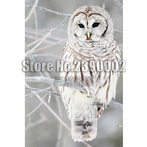 Stickers,Full,Diamond Embroidery,Animal,Owl,5D,Diamond Painting,Cross Stitch,3D,Diamond Mosaic,Needlework,Crafts,Christmas,Gift