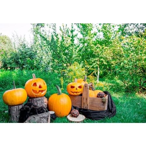 VinylBDS Holloween Photo Background Photography Backdrop Outdoor Happy Pumpkins Photo Studio Background Forest Studio Backdrop