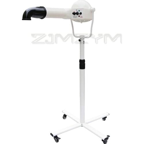 2200W Advanced Professional Pet animal Dryer Dog Cat negative ion vertical Wall-mounted hair dryer Pet grooming machine