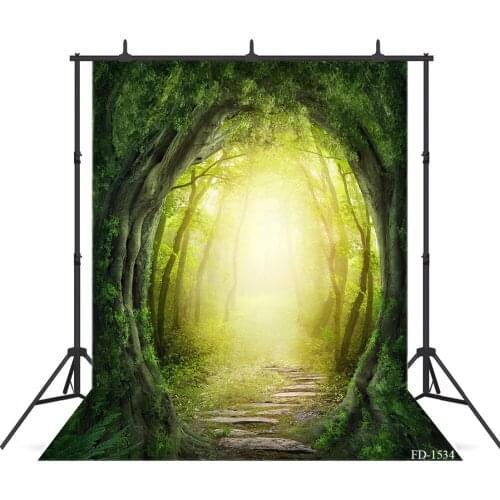 Forbidden Forest Photography Background For Photograph Accessories Children Kids Baby Portrait Vinyl Cloth Backdrop Photo Studio