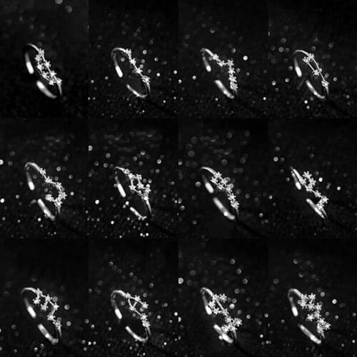 925 Sterling Silver Pin Womens fresh and simple style inlaid with Gemstone 12 constellations single ring