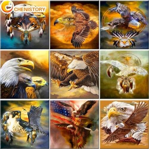 CHENISTORY Eagle Oil Painting By Number Coloring Drawing Diy Kits For Adults Frame On Canvas Picture By Numbers Home Decor Art