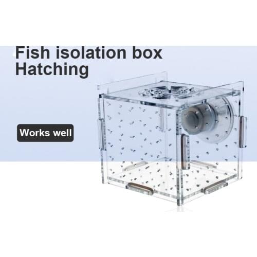 1pc 5Sizes Fish Tank Aquarium Transparent Incubator Breeding Box Single Double Grid Isolation Box Aquatic Pet Breeding Container
