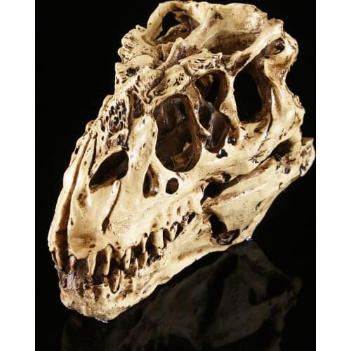 Realistic Tyrannosaurus Rex Skull Model Dinosaur Resin Ornaments Gifts Landscape Simulation Head Bone Decoration Pet Accessories