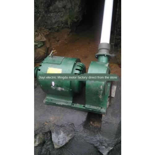 All copper 220V 600W small hydro permanent magnet brushless alternator home horizontal impact