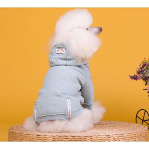 Sweatshirts For Dogs ORANGE LEAF China