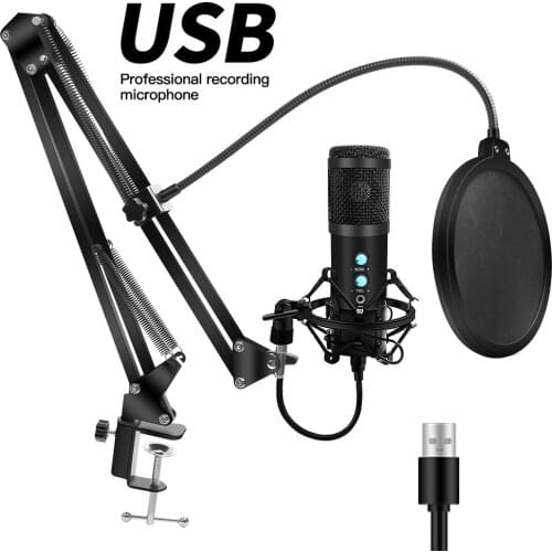 MAIQU Stage Sound Equipment