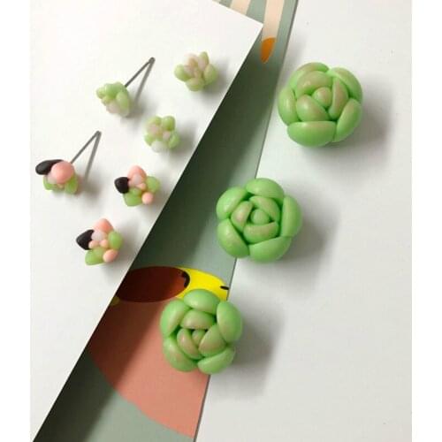 Handmade soft ceramic succulent earring material DIY small fresh literary fan soft ceramic earrings earrings accessories patch