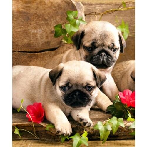 5D Full Resin Square Diamond Painting Cute dog Embroidery Needlework Diamond Mosaic Cross Stitch Home Decoration handcraft ZC031