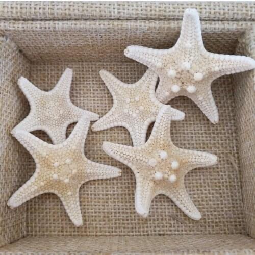 HappyKiss Natural Starfish BEIGE color Scrapbooking Carft for party Home decoration random mixed 5pcs 2-4CM sea star starfish