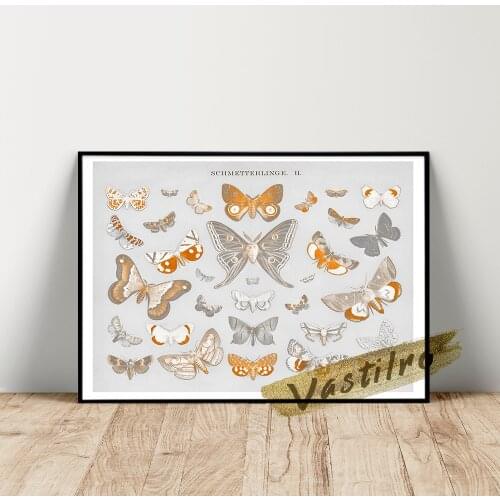Insect Collection Illustrations Vintage Art Prints Original Watercolor Painting Print Poster Wall Art Office Canvas Painting