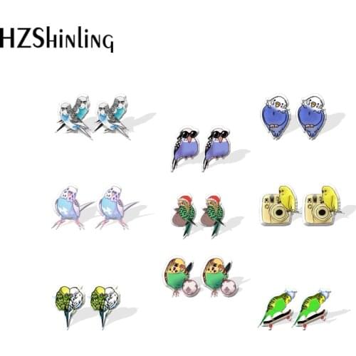 2021 New Budgie Stud Earring Little Bird Acrylic Resin Earrings Epoxy Handmade Jewelry Gifts Girl