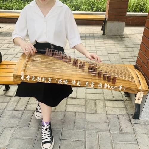 Introduction to Guzheng Beginners Small Portable 21 String