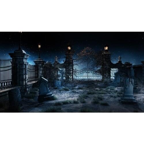 Halloween Trick-or-Treating Late Night Cemetery Keeper Crow Bat Indoor Background Used For Live-streaming Parties