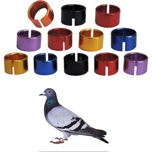 Pet Bird Rings 8mm 8mm Aluminium Birds Rings Pigeon Leg Bands Outdoor Flying Training Identification Foot Rings 6 Colors