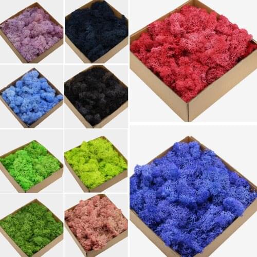 1 Box Multiple Colors Artificial Plants Eternal Life Dried Moss Preserved Dried Flowers Valentines Day Wedding Gift Decoration