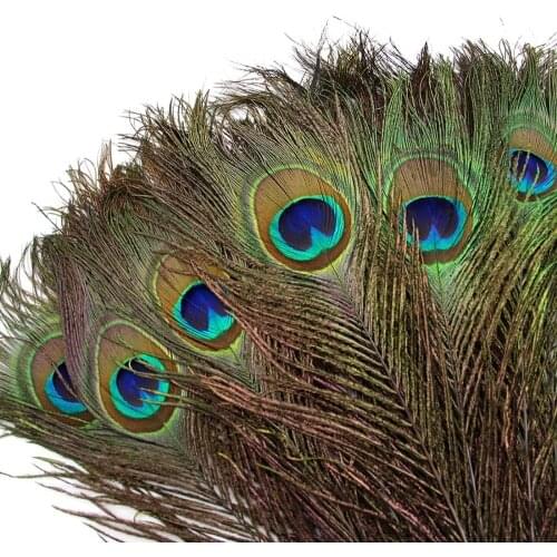 20 Pcs/lot Top quality natural peacock feathers for Crafts party decoration 25-32CM DIY jewelry Home vase plumas Accessories