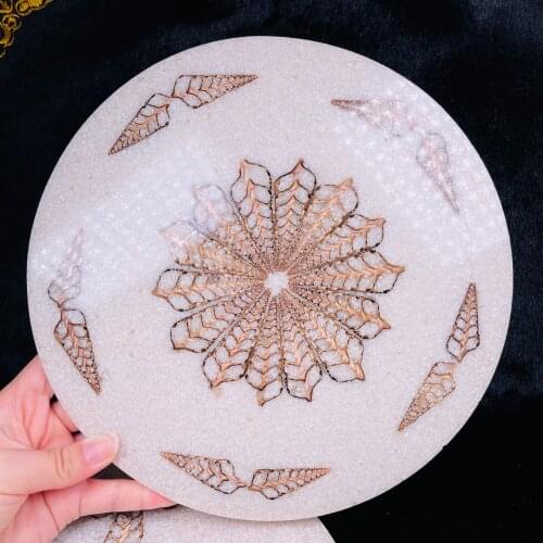 Natural Ammonite Disc Fossil Conch Specimen Healing