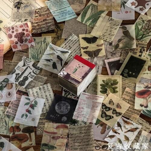 366pcs Retro Plants Insect Material Paper Junk Journal Planner Craft Paper Scrapbooking Vintage Decorative DIY Craft Photo Album