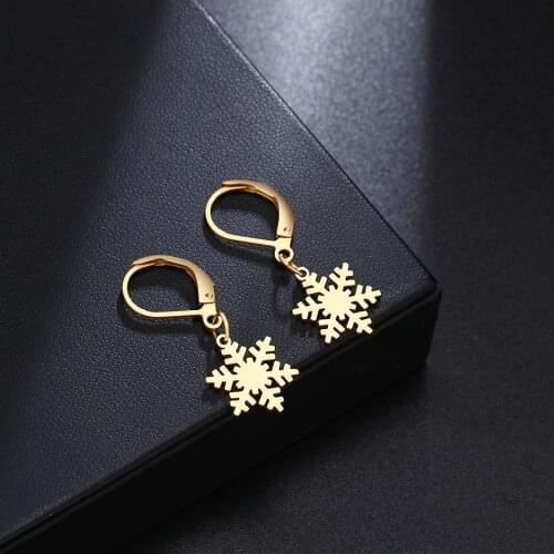DOTIFI New Fashion For Women Snowflake Earrings Stainless Steel Gold and Silver Color Womens Engagement Jewelry Earring Gift