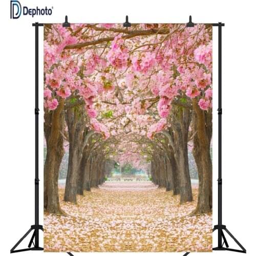 Backgrounds For Photos DePhoto China