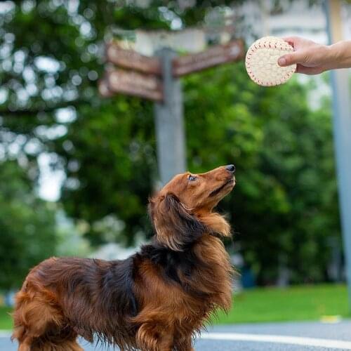 Dog Toy Six Tennis Balls Bite-Resistant Dogs Puppy Teddy Training Product Dog Toy Portable Teeth Cleaning Ball For Dog Pet Home